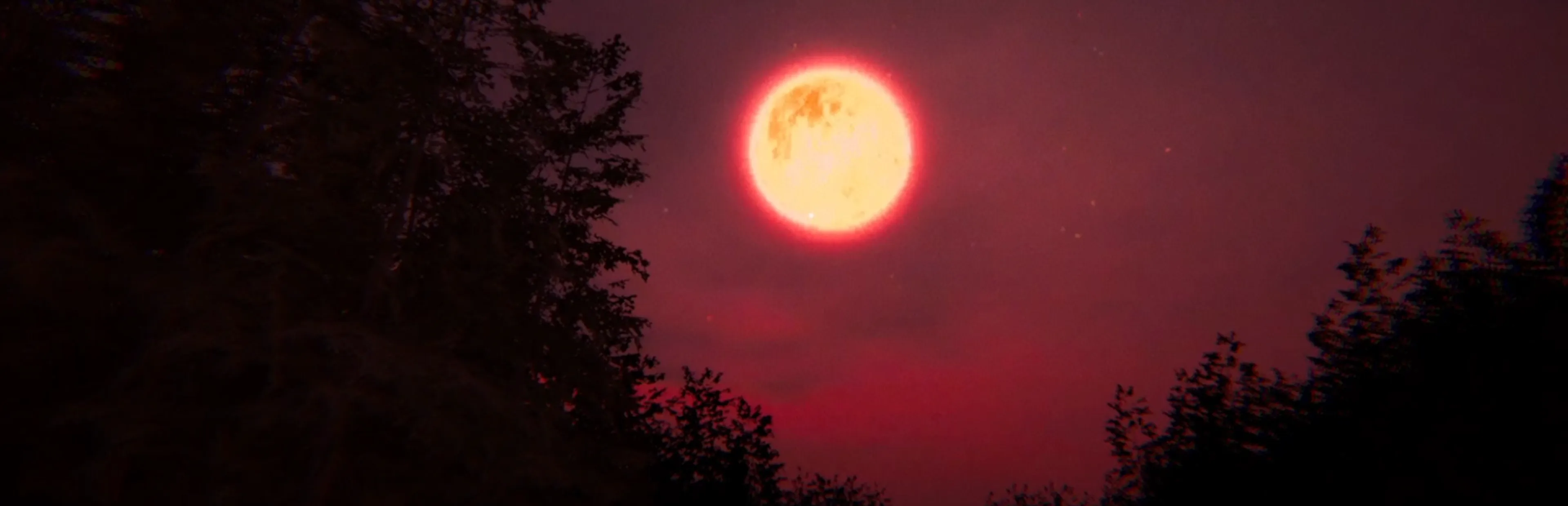 Banner de fondo